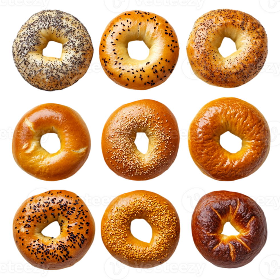 Delicious bagels assortment with different toppings view isolated on transparent background png