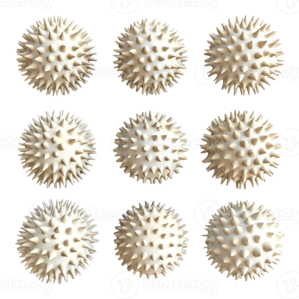 Collection of spiky massage balls for myofascial releaseisolated on transparent background png