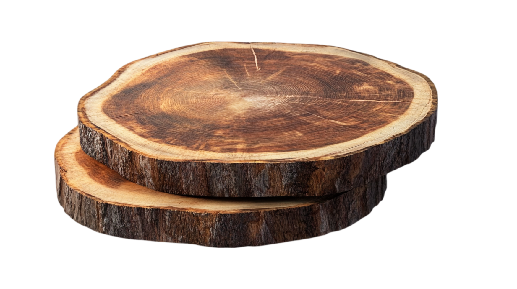 Wooden tree rings texture natural material background isolated on transparent background png