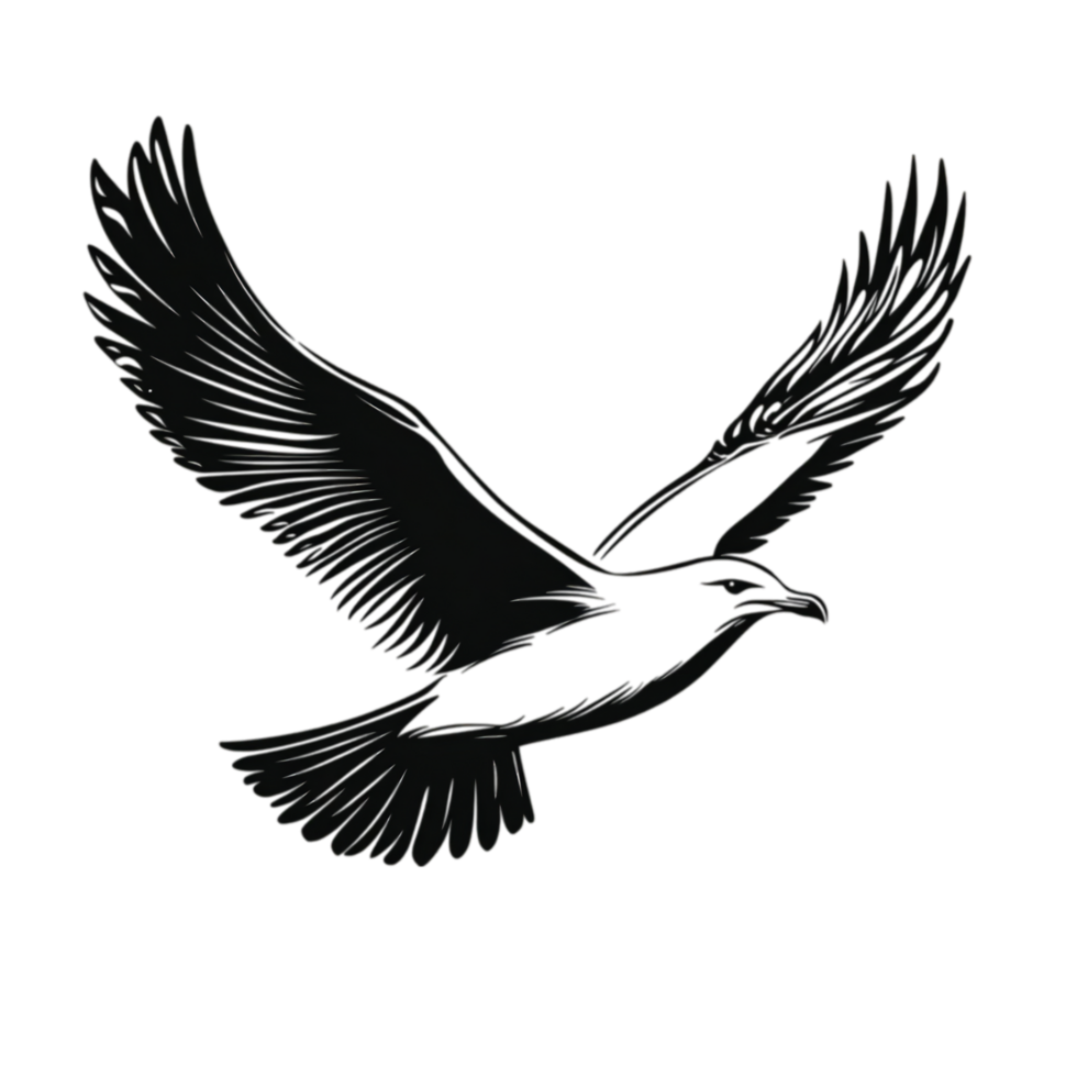 Eagle artwork flying illustration on a plain backdrop isolated on transparent background png