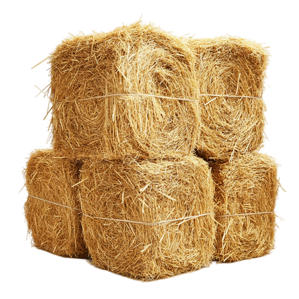 Stack of hay bales agriculture farm harvest rural scene isolated on transparent background png
