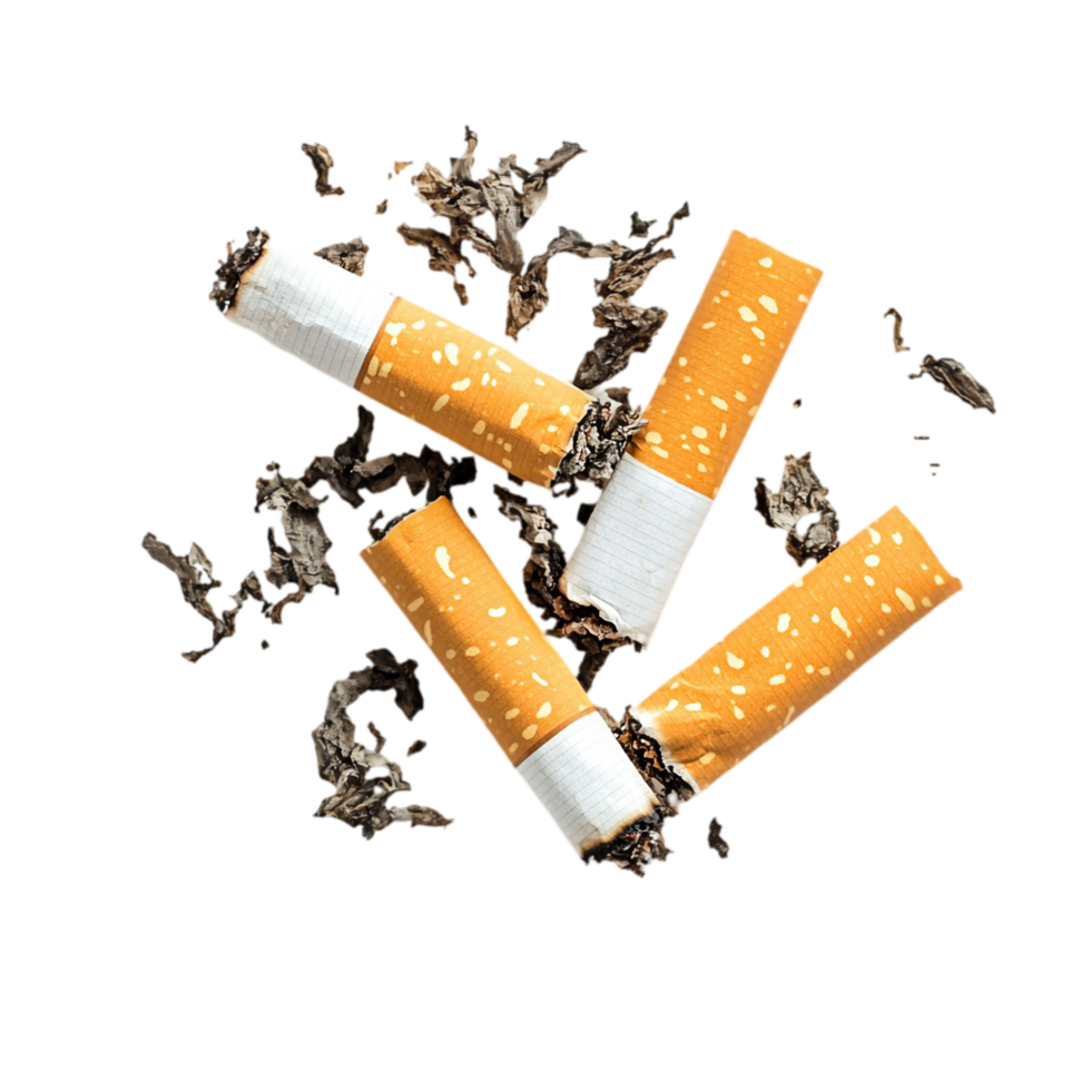Close up view of cigarette butts and ash on background isolated on transparent background png