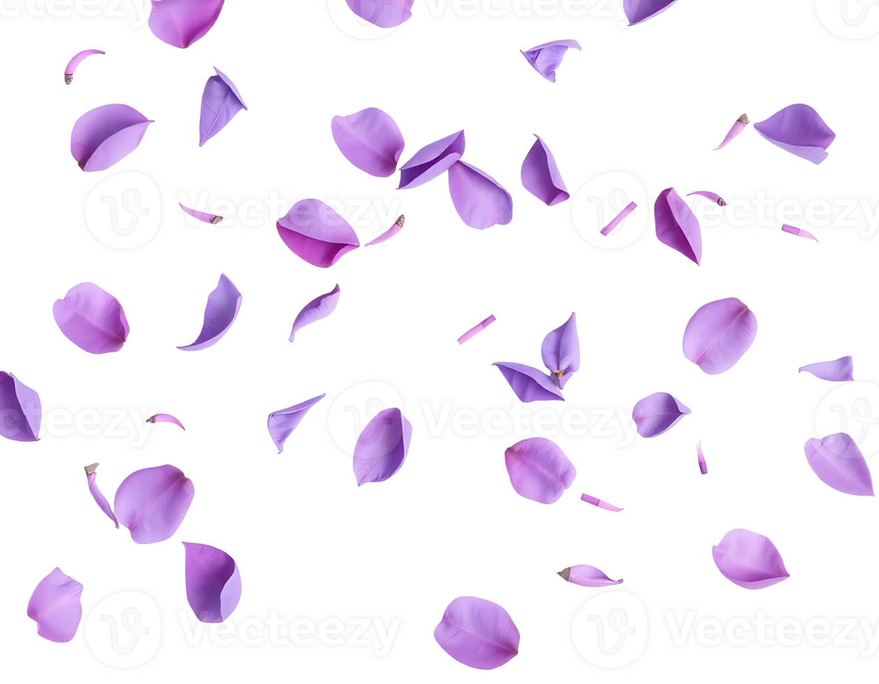Falling purple flower petals on a transparent background png