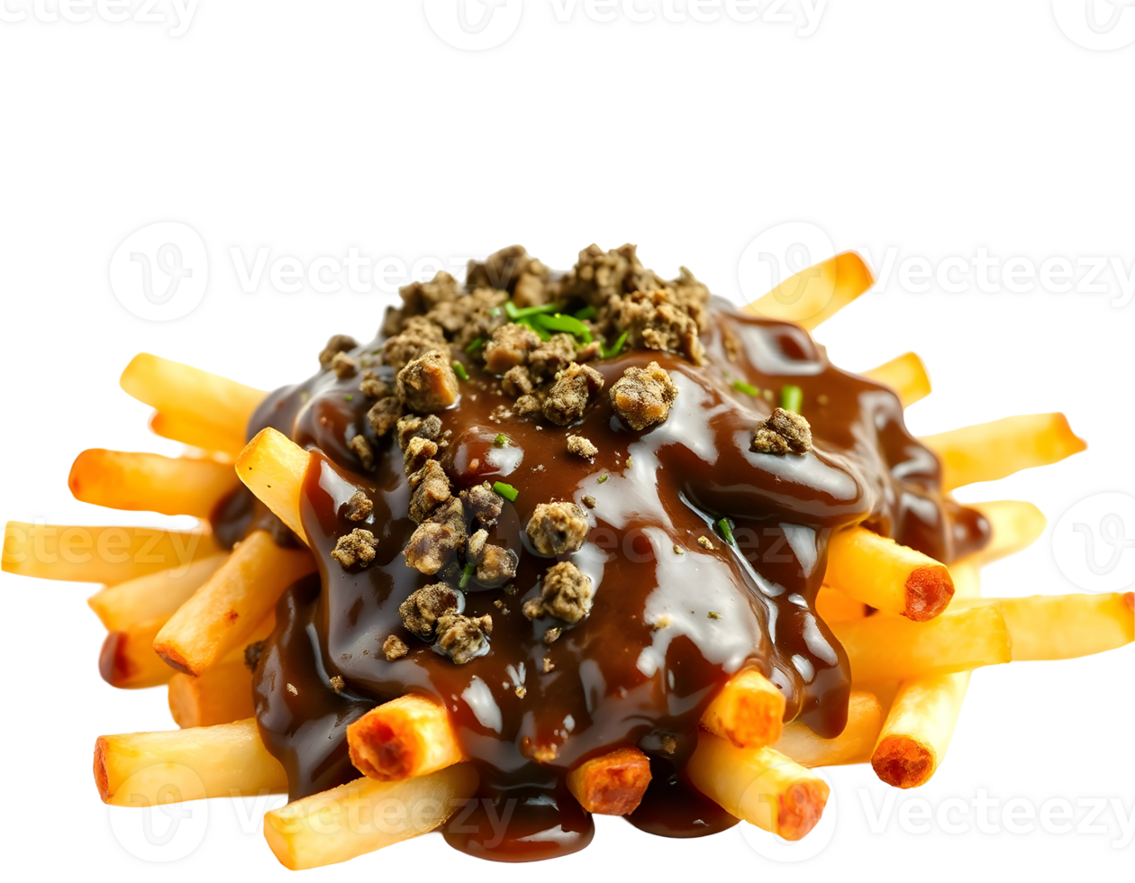 Delicious Poutine with Gravy and Cheese png