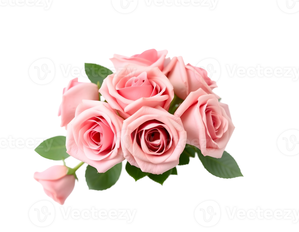 A beautiful bouquet of pink roses with green leaves png