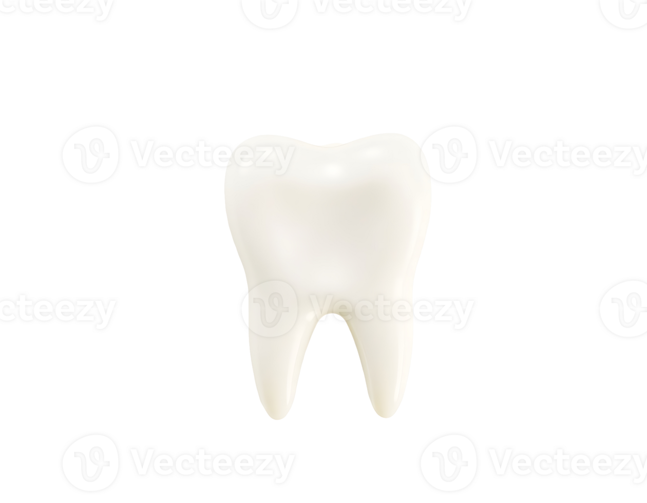 Realistic 3D rendered tooth isolated on a transparent background. png