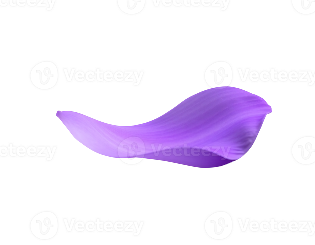 Isolated purple petal with smooth texture and elegant wave. png