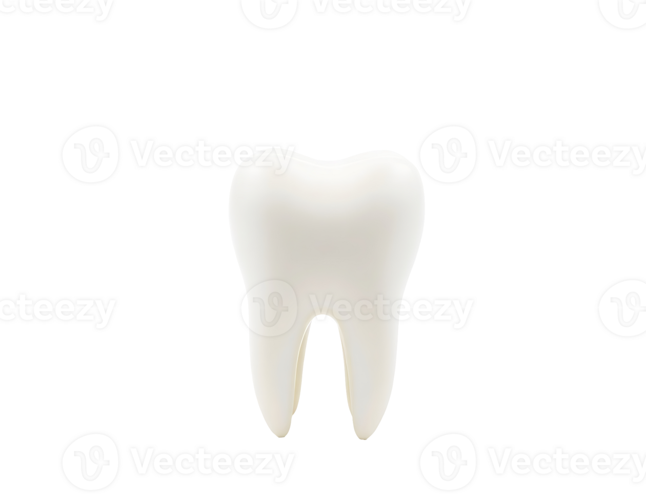 Realistic 3D Render of a White Tooth png