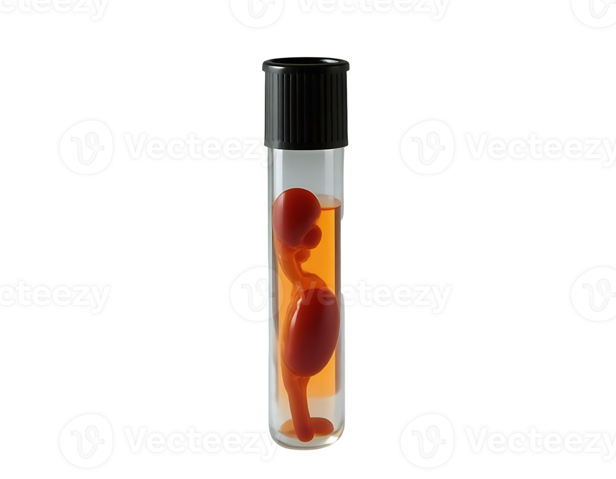 A fetus in a test tube png