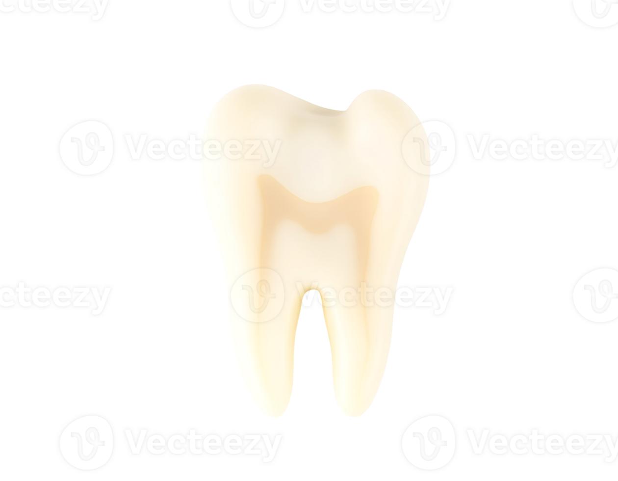 Close-up of an isolated white molar tooth with a transparent background png