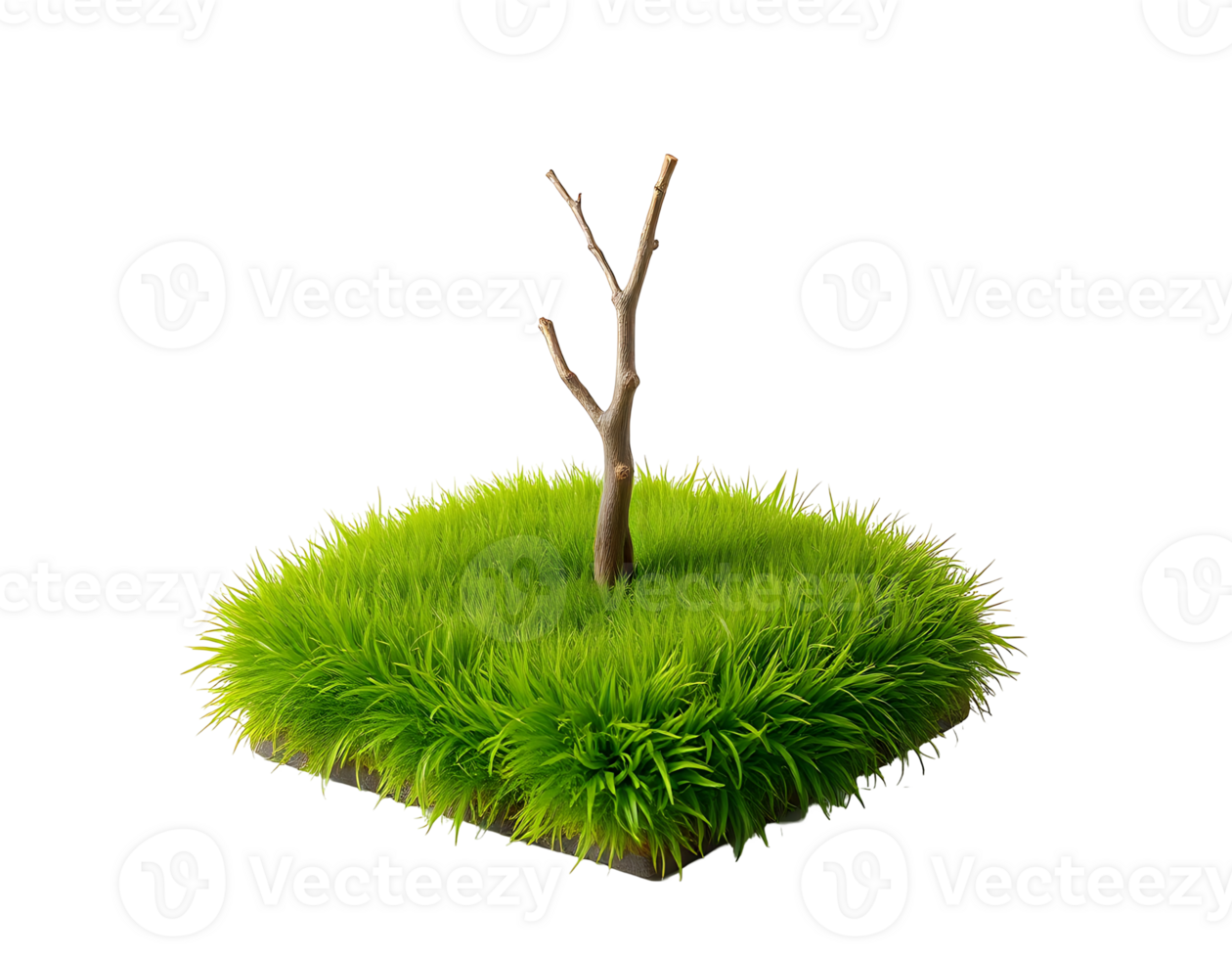 Isolated Tree with Green Grass on a Square Platform png