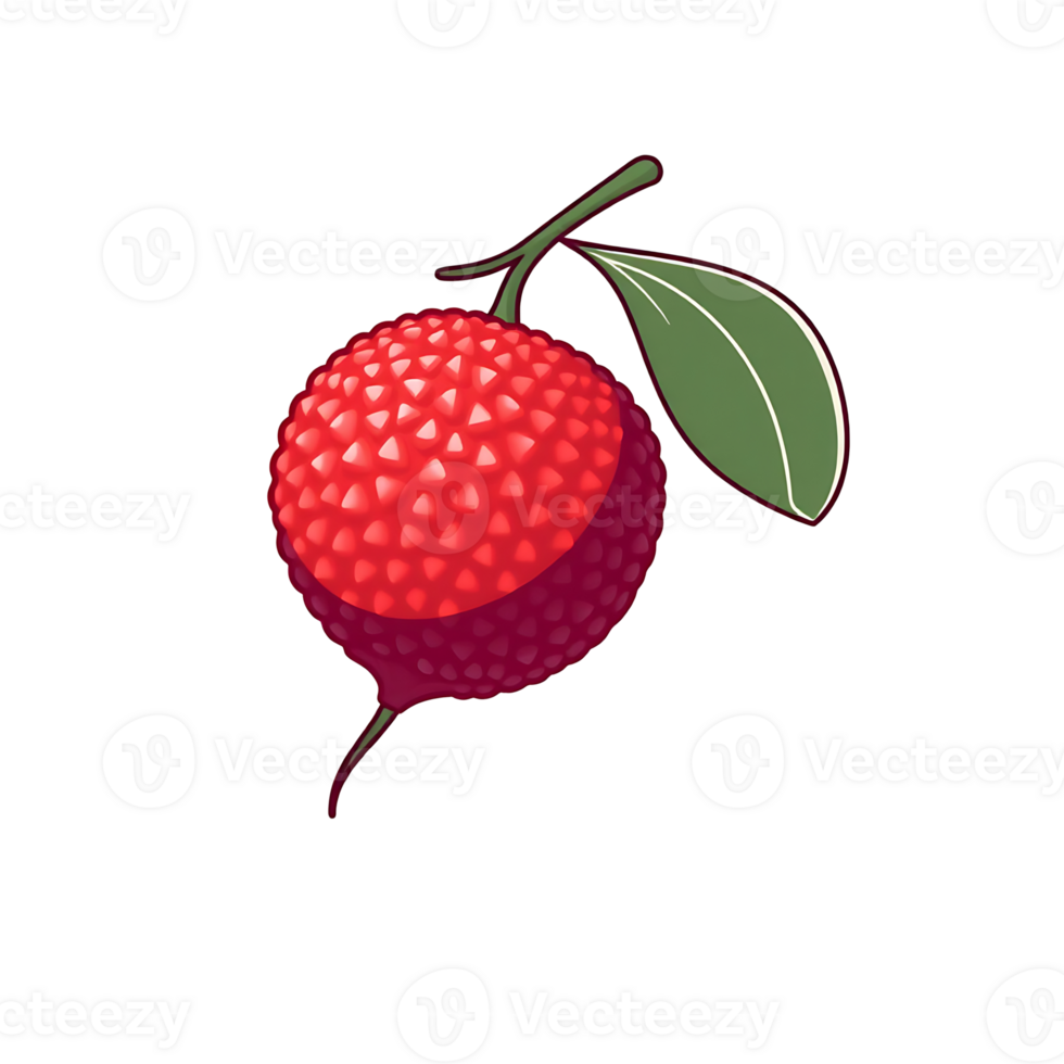 Vibrant illustration of a ripe lychee with a green leaf png