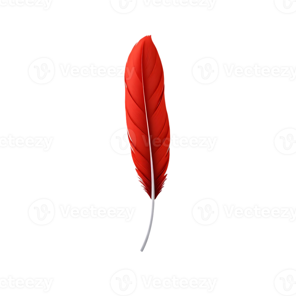 Elegant Red Feather Isolated on Transparent Background png