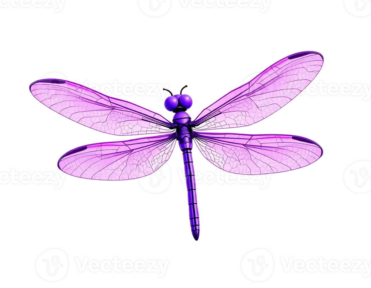 Purple Dragonfly with Transparent Wings png