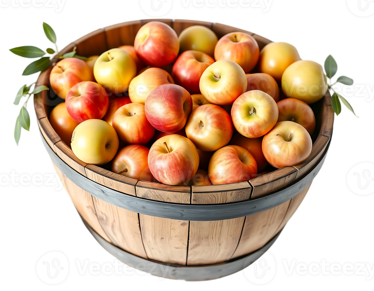 A wooden barrel filled with fresh, ripe apples. png