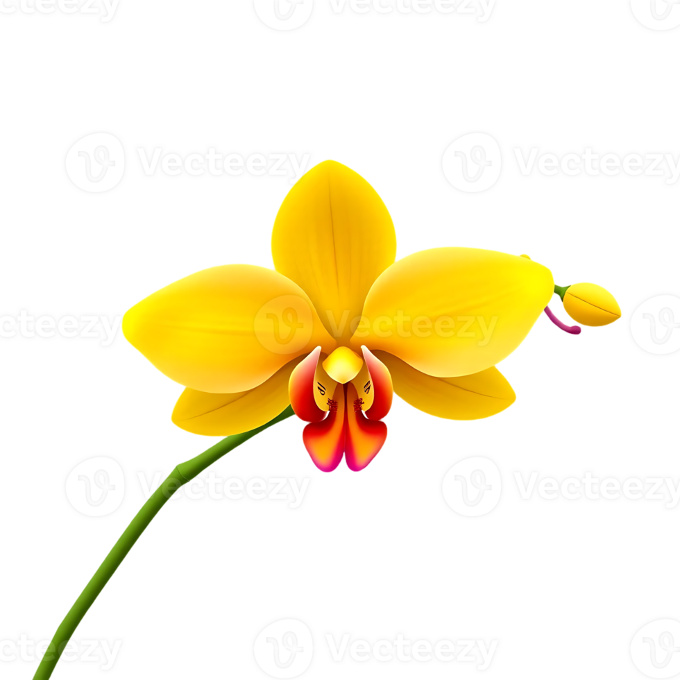 Close-up of a beautiful yellow orchid flower in bloom png