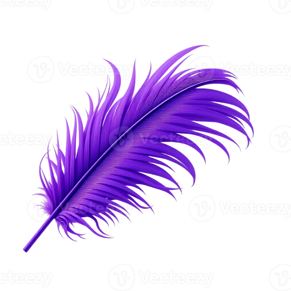 Close-up of a Vibrant Purple Feather with Transparent Background png