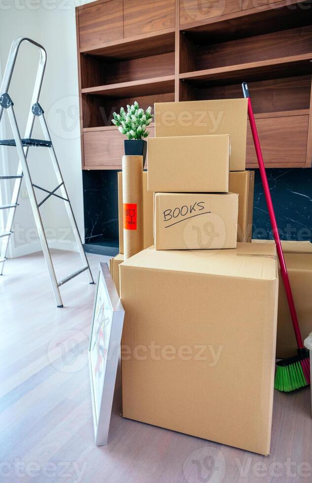Living room with moving boxes photo