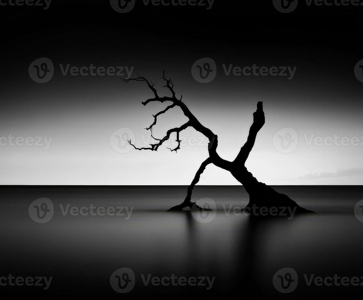 A lone tree in the middle of the ocean photo