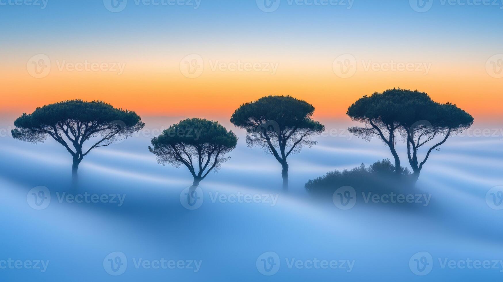 Three trees in the fog at sunset photo