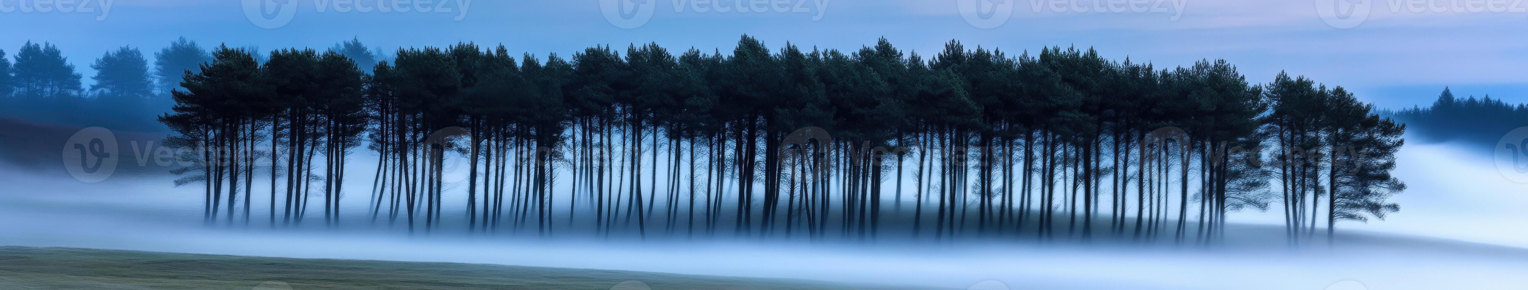 A foggy landscape with trees in the distance photo