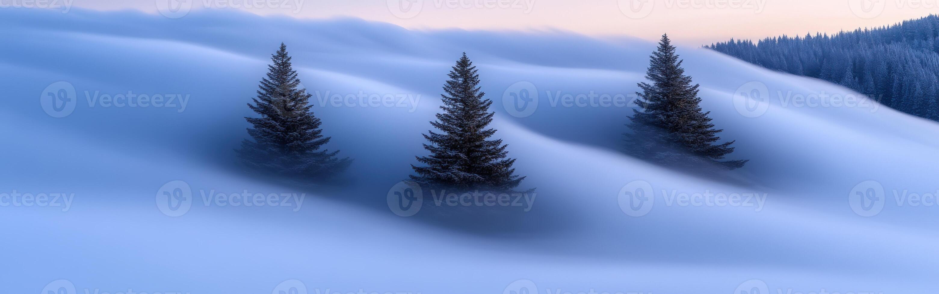 Three trees in the snow with fog and mountains in the background photo
