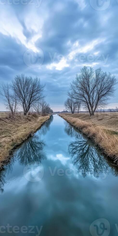 A river runs through a field with trees and grass photo