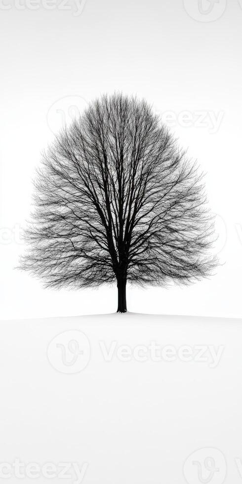 A black and white photo of a tree in the snow