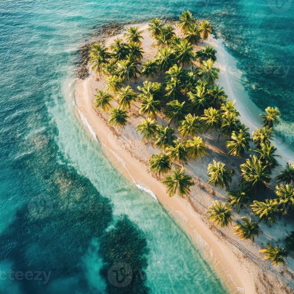 Aerial view of tropical island with palm trees in the ocean photo