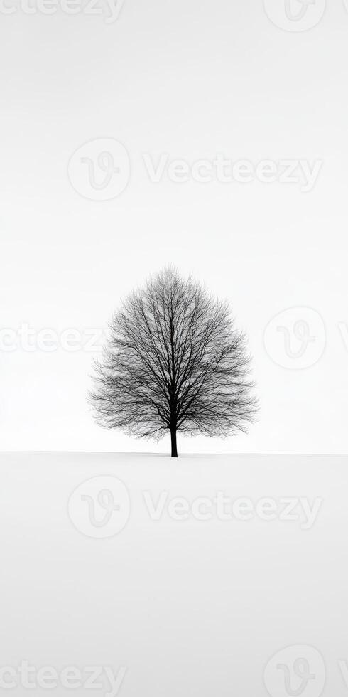 A black and white photo of a tree in the middle of a field
