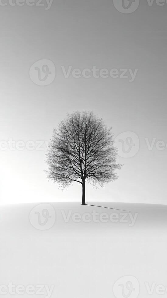 A lone tree stands in the middle of a white field photo