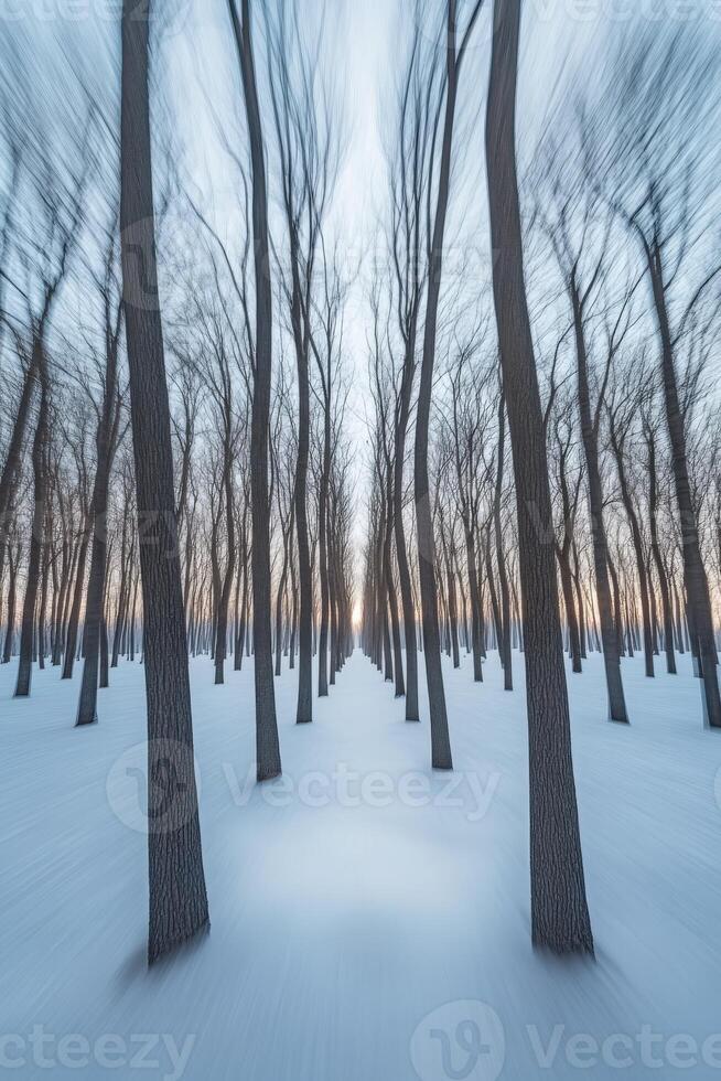 A blurry image of a snowy forest with trees photo