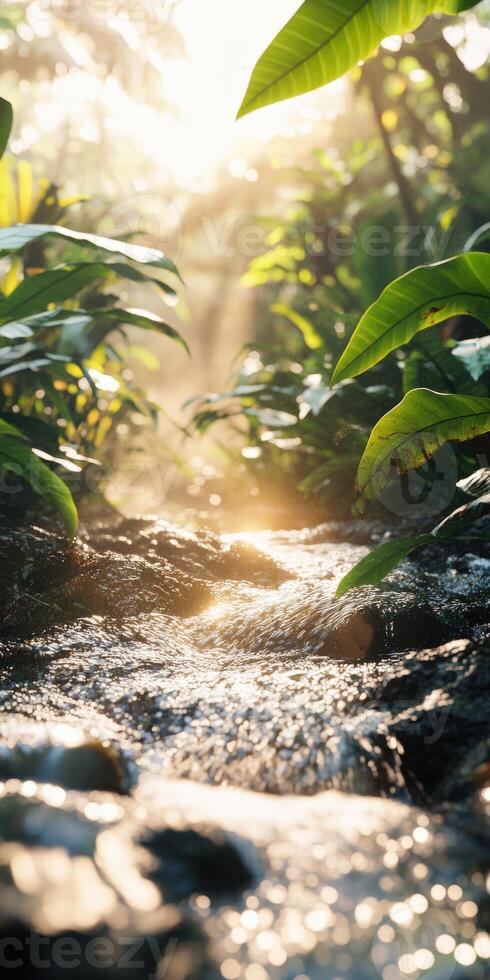 A stream running through a lush jungle with green plants photo