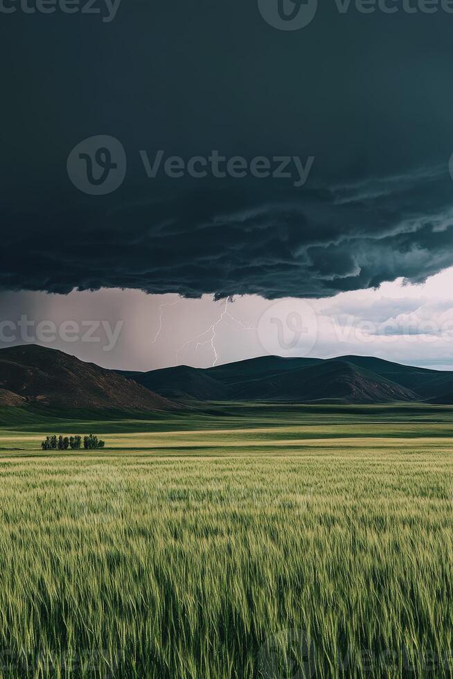 A field with a stormy sky and a tree in the middle photo