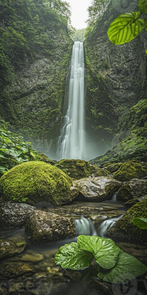 A waterfall in the middle of a forest with green plants photo