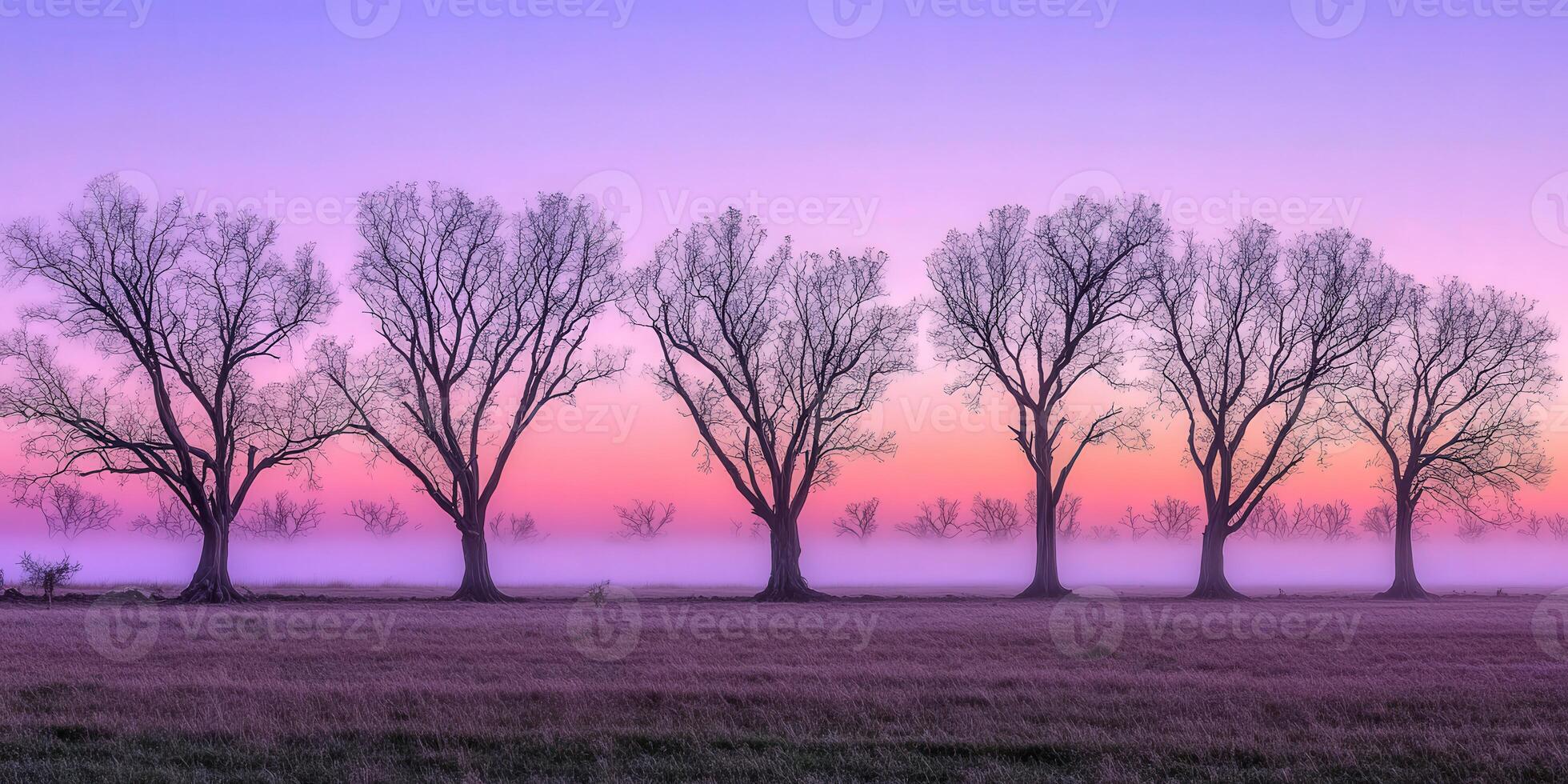 A group of trees in a field at sunrise photo
