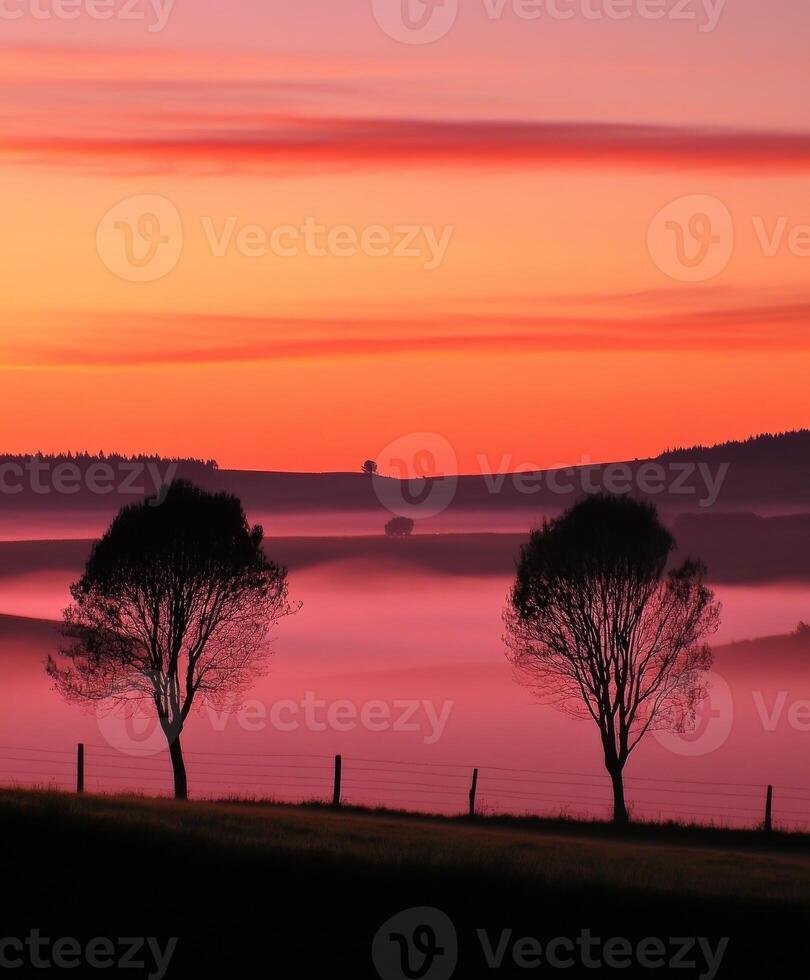 Three trees stand in the foreground of a foggy landscape photo