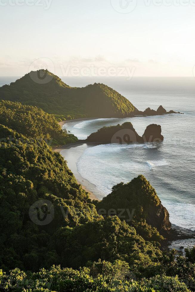 A view of the ocean and a beach from a hill photo