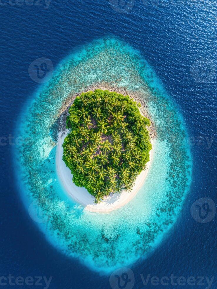 Aerial view of tropical island in the ocean with blue water and palm trees photo