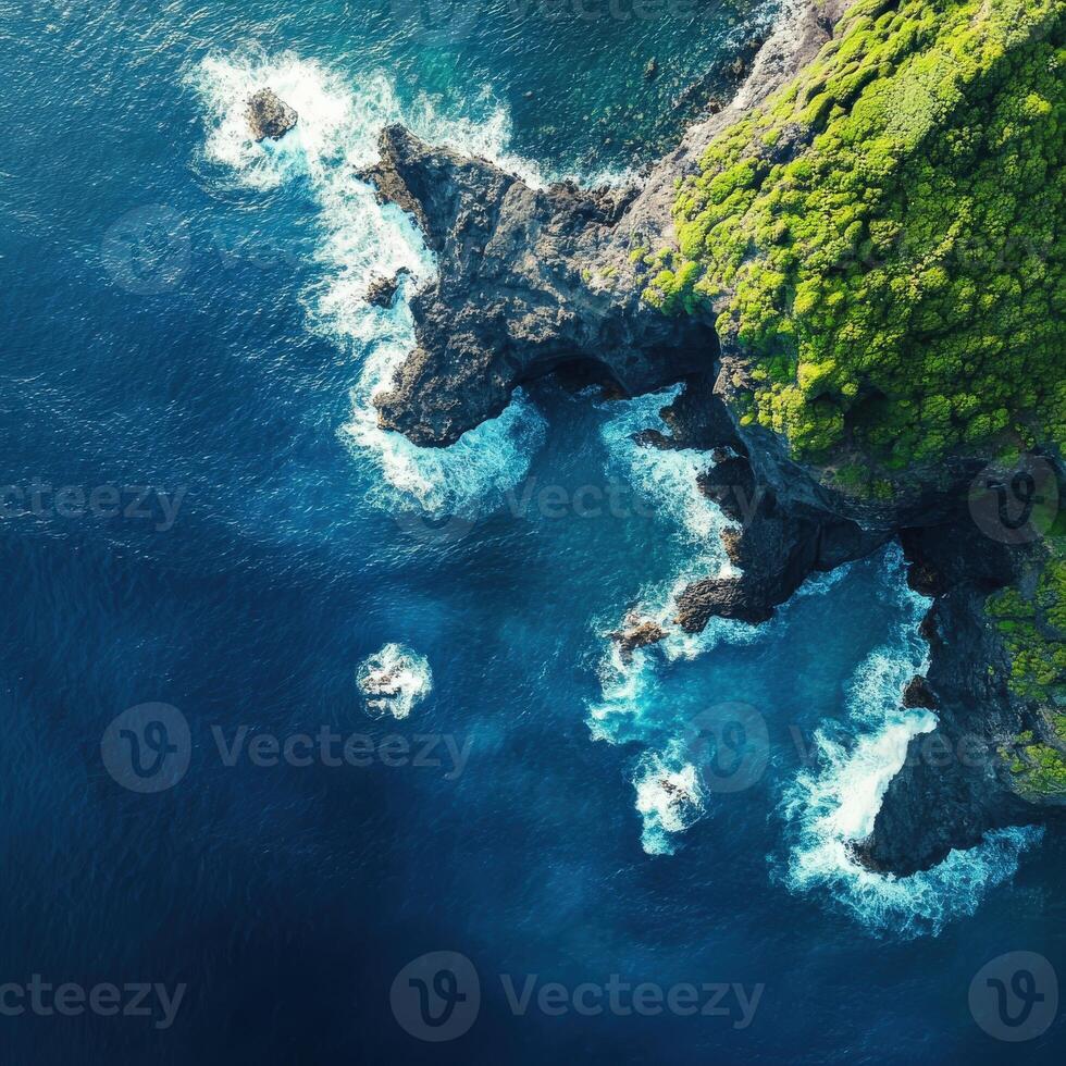 An aerial view of the ocean and green vegetation in the middle of the sea photo