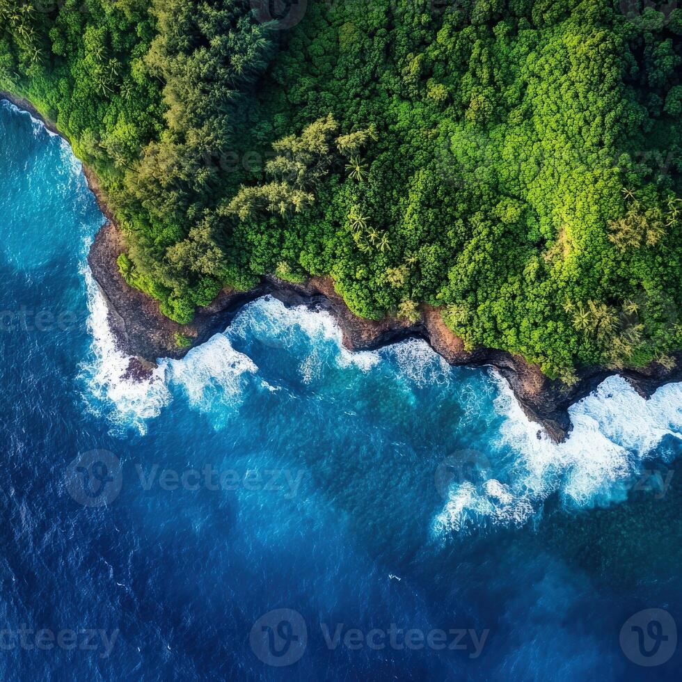 An aerial view of the ocean and green forest in hawaii photo