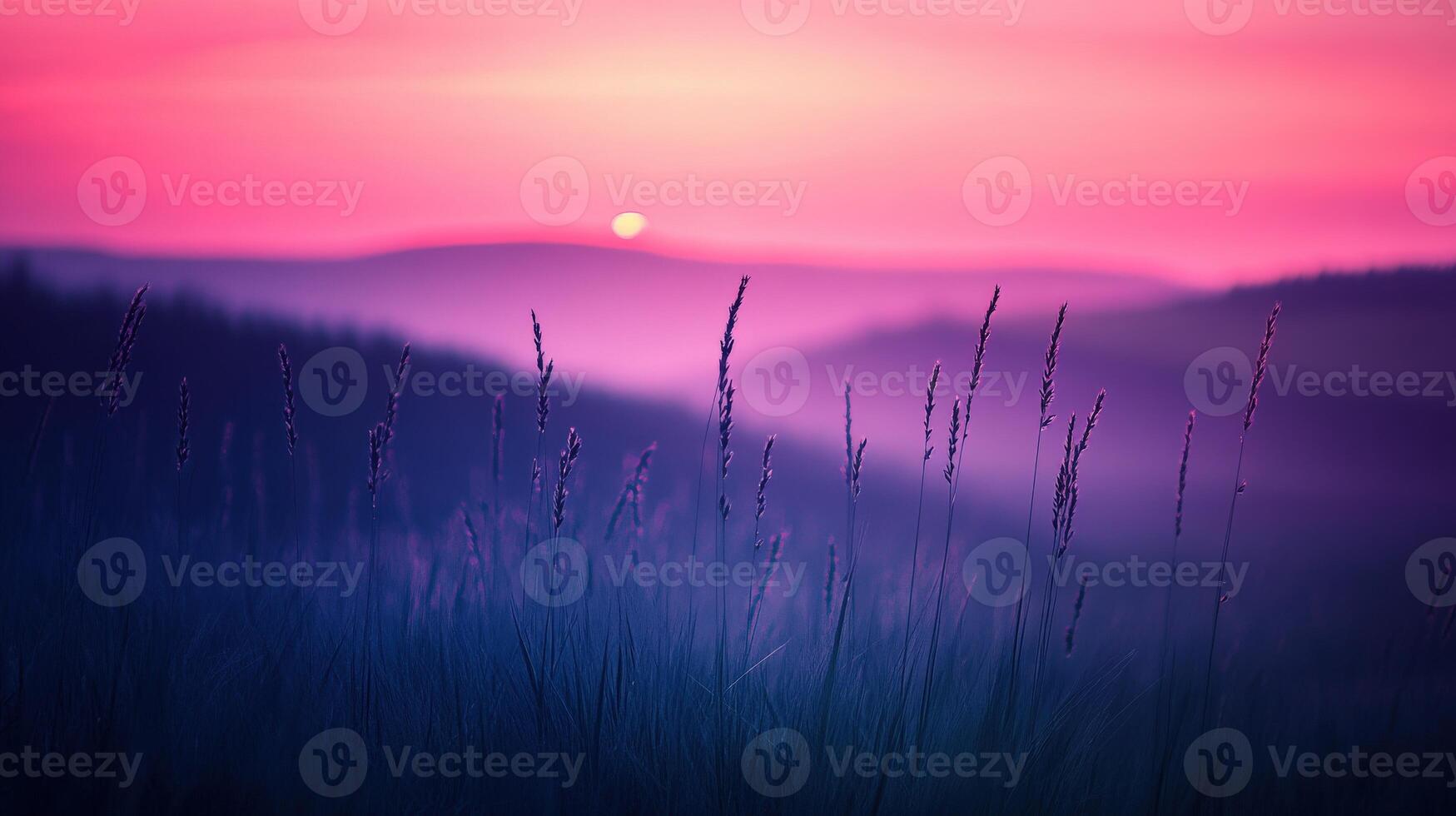 A purple sunset over a field with tall grass photo