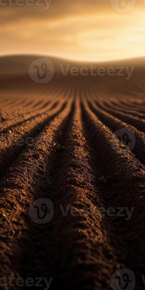 A plowed field with a sun setting behind it photo