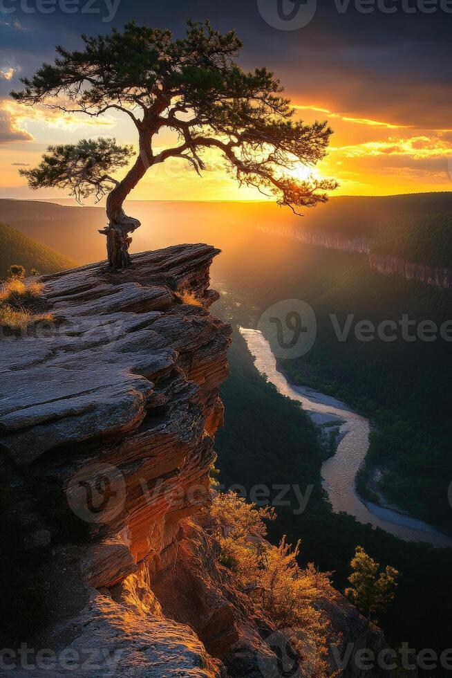 A lone tree stands on the edge of a cliff at sunset photo
