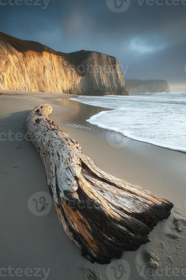 A large log on the beach near cliffs photo