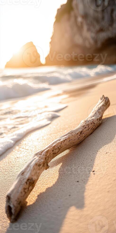 A beach with a log on it photo
