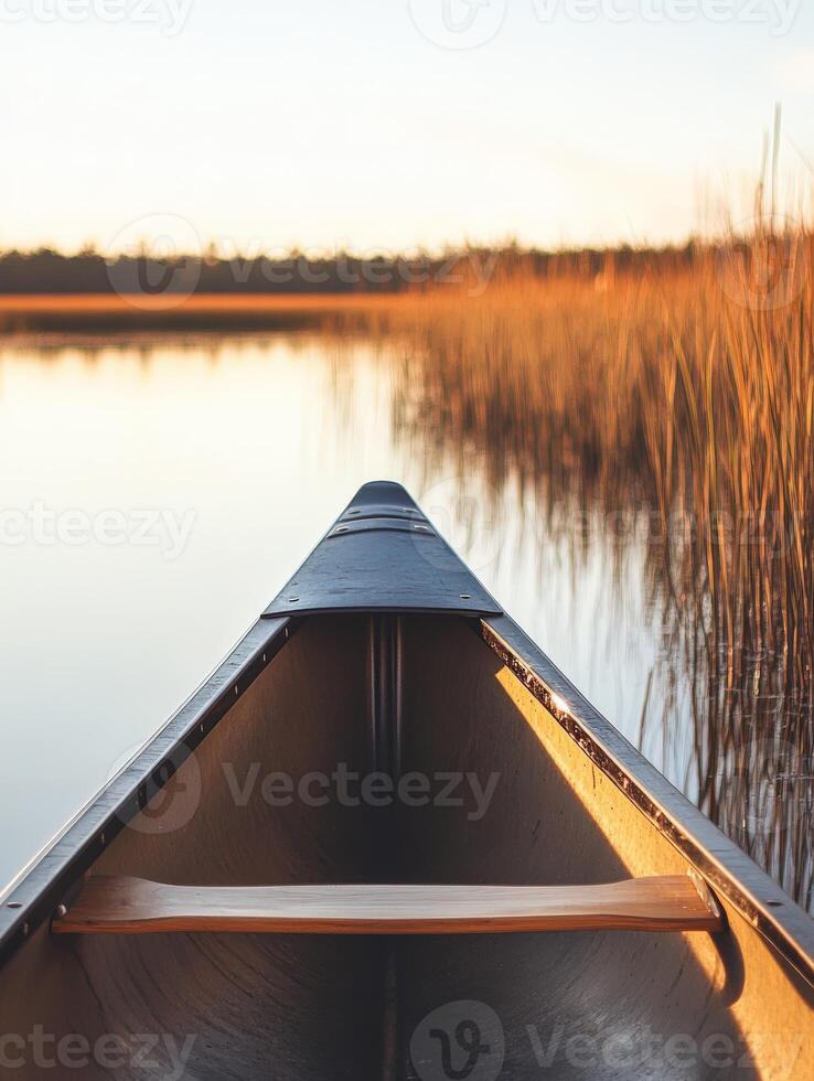 A canoe is sitting on the water near tall grass photo