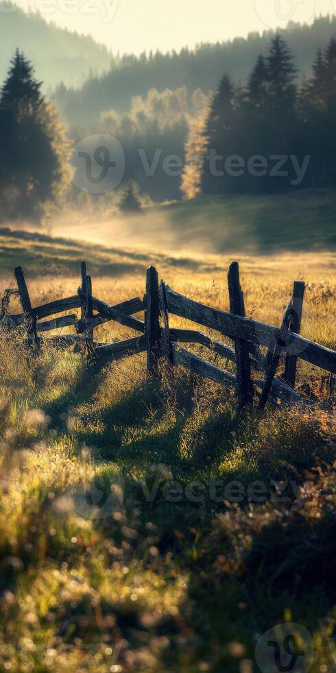 A fence in a field with trees and grass photo