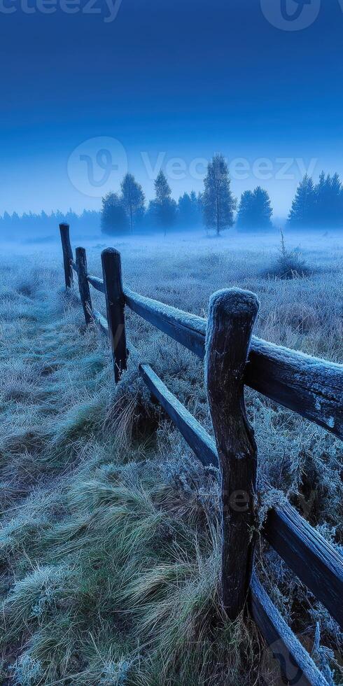 Frosty morning in the field photo