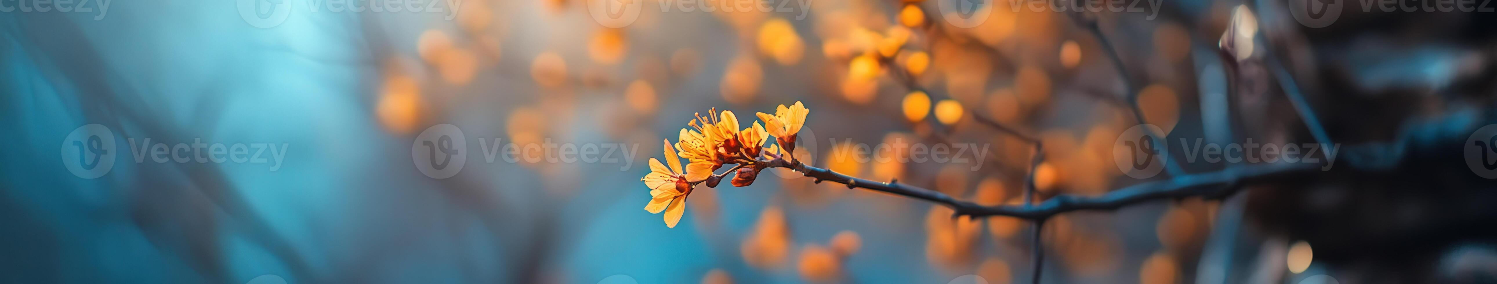 A single yellow flower on a branch in front of a blurry background photo
